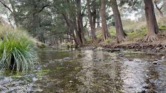 Farm Property for Sale - Part 4780 Ilford Sofala Road Bathurst NSW 2795