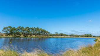 Farm Property for Sale - 765 Tomahawk Creek Road Irrewillipe VIC 3249