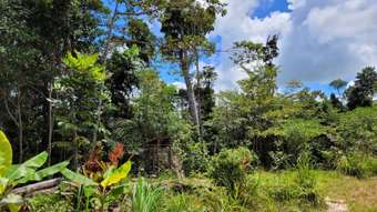 Farm Property for Sale - Lot 213 Kelly Road Ellinjaa QLD 4886