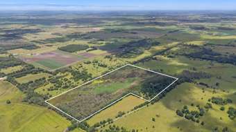 Farm Property for Sale - 754 Tuckean Island Road Green Forest NSW 2471