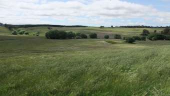 Farm Property for Sale - 1081 Triangle Flat Road Bathurst NSW 2795