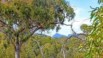 Farm Property for Sale - 177 Jensens Road Mirranatwa VIC 3294