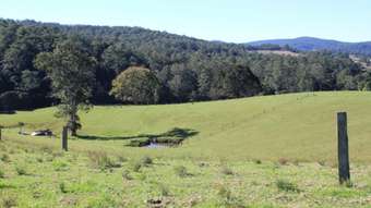 Farm Property for Sale - Lorne NSW 2439