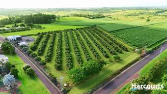 Farm Property for Sale - 172 HUXLEY ROAD Childers QLD 4660