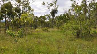 Farm Property for Sale - 558 Bilwon Road Biboohra QLD 4880