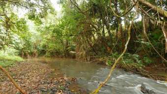 Farm Property for Sale - Utchee Creek QLD 4871