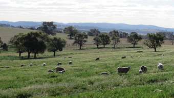 Farm Property for Sale - Spring Val 585 Cooks Lane Wellington NSW 2820