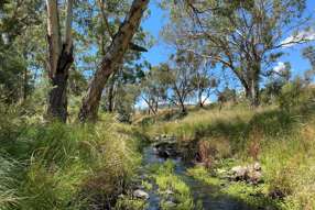  Campbells Creek Road Mudgee NSW 2850