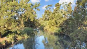 Farm Property for Sale - Lot 100 Gaskill Street Canowindra NSW 2804