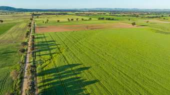 Farm Property for Sale -  Tallarook Road Cowra NSW 2794