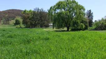 Farm Property for Sale - Duramana NSW 2795