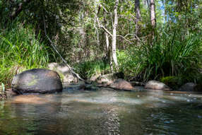  Bellthorpe Road Sandy Creek QLD 4515
