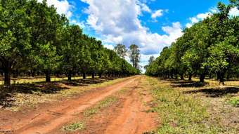 Farm Property for Sale - 1998 Boondooma Road Old Cooranga QLD 4626