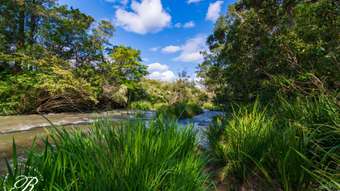 Farm Property for Sale - 555 Moores Road Monkerai NSW 2415