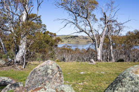 Farm Property for Sale - 422 Gullies Road Moonbah NSW 2627