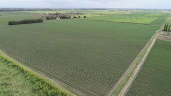 Farm Property for Sale - 889 Kirknie Road Osborne QLD 4806