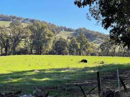 Farm Property for Sale - Lot 22 Lower Hotham Road Quindanning WA 6391
