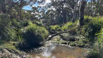 Farm Property for Sale - Lot 101 Collector Road Gunning NSW 2581