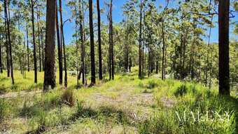 Farm Property for Sale - Lot 120 Goodla Rd Bellthorpe QLD 4514