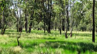 Farm Property for Sale - Lot 118 Upper Humbug Road Tara QLD 4421