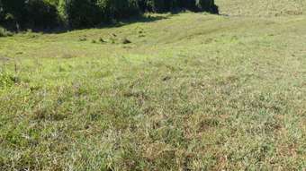 Farm Property for Sale - East Palmerston QLD 4860