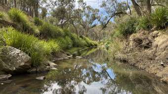 Farm Property for Sale - Lot 1 Collector Road Gunning NSW 2581