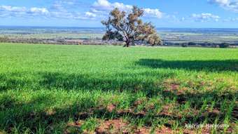 Farm Property for Sale - 5428 Brand Highway, Boonanarring Gingin WA 6503