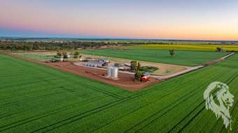 13012 Newell Highway Narrabri NSW 2390