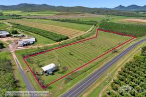 Farm Property for Sale - 221 Burke Developmental Road Dimbulah QLD 4872