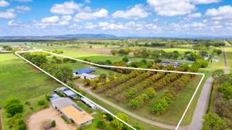 Farm Property for Sale - 92 Mines Road Mareeba QLD 4880