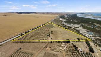 Farm Property for Sale - Lot 16 Yorke Highway Clinton SA 5570