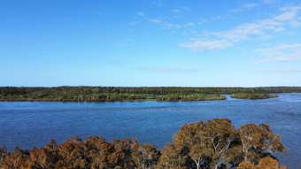 Farm Property for Sale -  Micalo Road Micalo Island NSW 2464