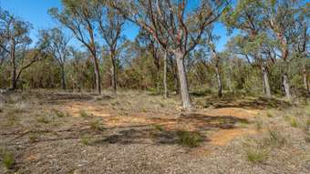 Farm Property for Sale - 55 Gumnut Crescent Bungonia NSW 2580