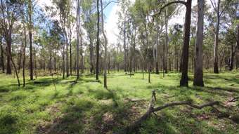 Farm Property for Sale - Monogorilby QLD 4626