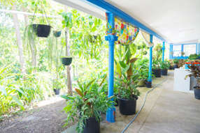 619 Bulldog Road Bulldog NSW 2469