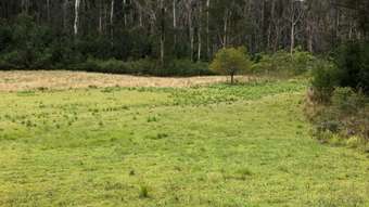 Farm Property for Sale - 555 Bryces Road Nerrigundah NSW 2545