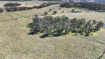 Farm Property for Sale - Lot 25 Scrub Road Tenterfield NSW 2372