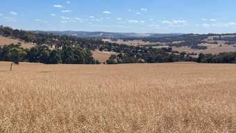 Farm Property for Sale - 7 Albany Highway Crossman WA 6390