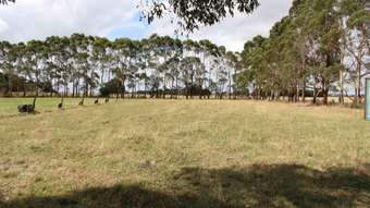 Farm Property for Sale - 1450 Princes Highway Pirron Yallock VIC 3249