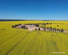 Farm Property for Sale - 235 Telegraph Road West Binnu WA 6532