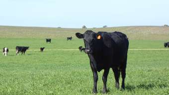 Farm Property for Sale - 1274 Tauragat Well Road Coonalpyn SA 5265