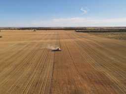 Allotment  New Well Road Waikerie SA 5330