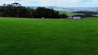 Farm Property for Sale -  Doreys Road Scotts Creek VIC 3267