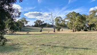 Farm Property for Sale - Lot 5 Watts Gully Road Forreston SA 5233