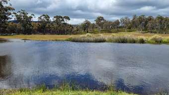 Farm Property for Sale - PID 547591 McGuires Marsh Road Osterley TAS 7140