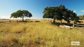 Farm Property for Sale - 120 J.pierce Road Bouldercombe QLD 4702
