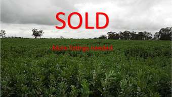 Farm Property for Sale - Lot 453 Siding Road Bordertown SA 5268