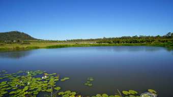 Farm Property for Sale - 446 Chewko Road Mareeba QLD 4880