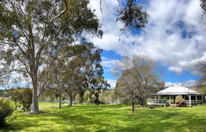 Farm Property for Sale - 252 Welshs Road Baddaginnie VIC 3670