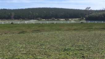 Farm Property for Sale - 151 (LOT 3 THORNTON DRIVE Uduc WA 6220